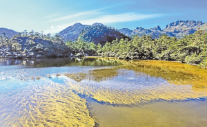 　螺髻山仙草湖。 涼山在線.jpg